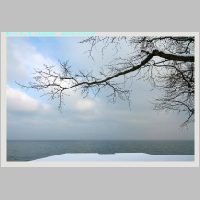 Arbon12.1.2010__03.jpg