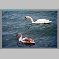 Arbon12.1.2010__05.jpg