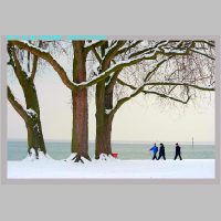 Arbon12.1.2010__06.jpg