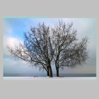 Arbon12.1.2010__07.jpg