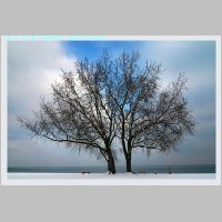 Arbon12.1.2010__08.jpg