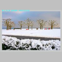 Arbon12.1.2010__10.jpg