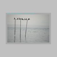 Arbon12.1.2010__46.jpg