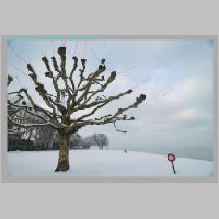 Arbon12.1.2010__48.jpg
