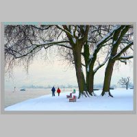Arbon12.1.2010__50.jpg