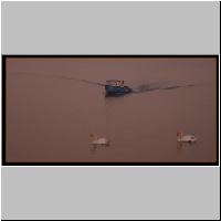 boat.jpg