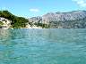 omis2.jpg