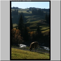 SuedTirol36.jpg